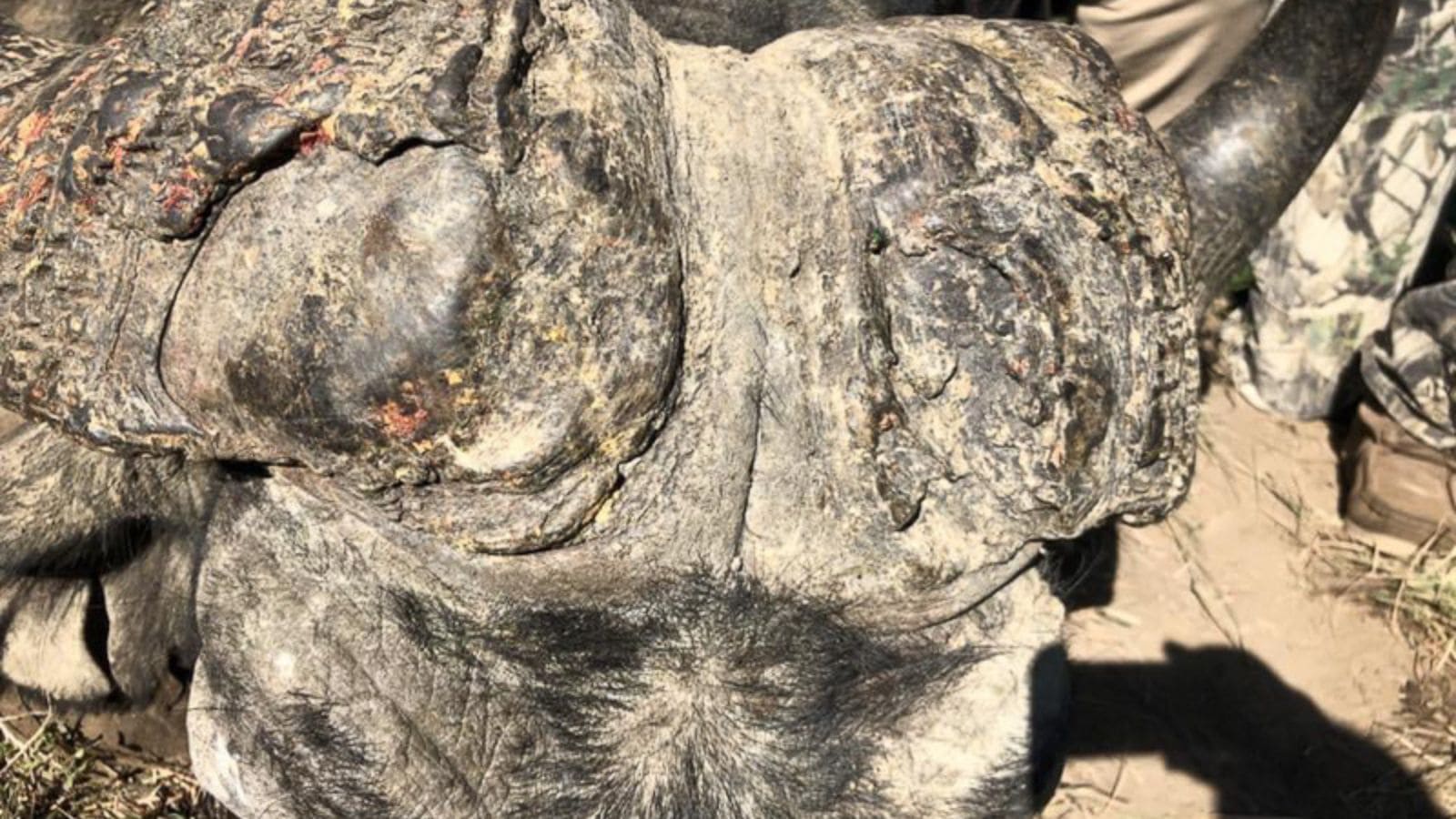 Kopi Af Hjemmeside Og PDF Format 169 2025 11 14T121700.445 Min (1)