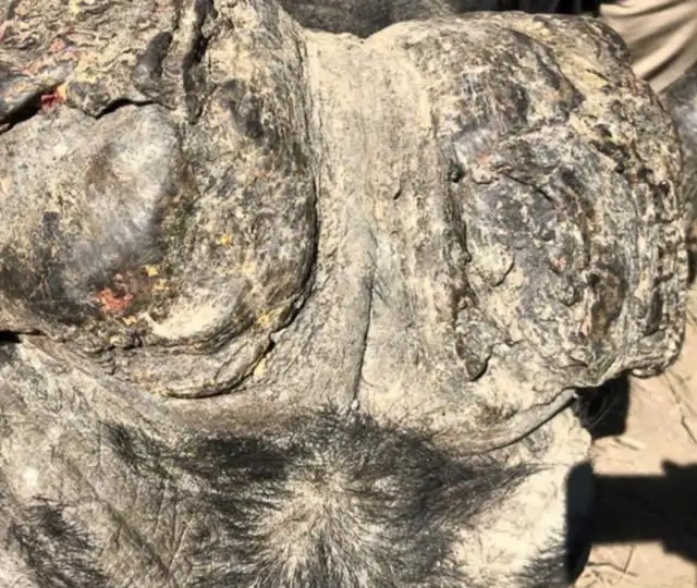 Kopi Af Hjemmeside Og PDF Format 169 2025 11 14T121700.445 Min (1)