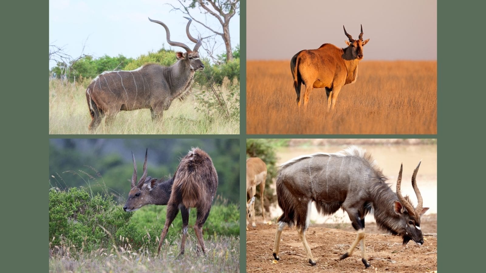 Kopi Af Hjemmeside Og Pdf Format 169 2025 11 27T093602438 Min 1