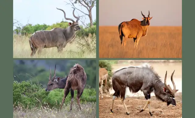 Kopi Af Hjemmeside Og Pdf Format 169 2025 11 27T093602438 Min 1