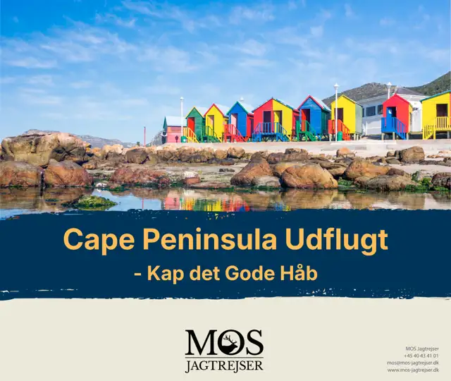 E Brochure Cape Peninsula (1).Pdf (1)