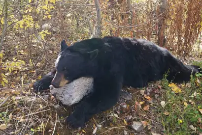 23476231 10212994497671072 1398074982 N