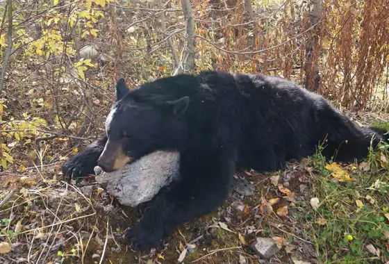 23476231 10212994497671072 1398074982 N