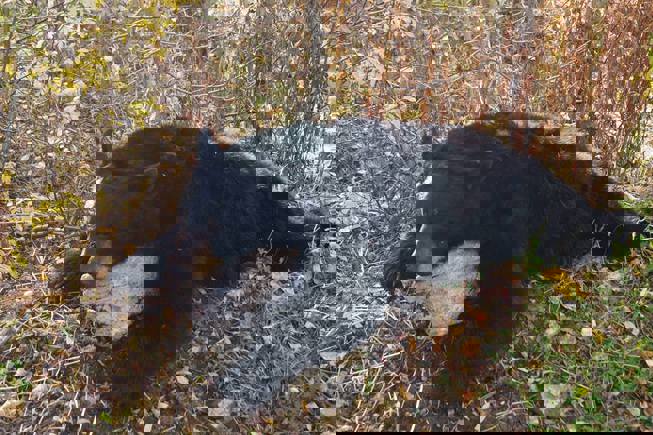 23476231 10212994497671072 1398074982 N