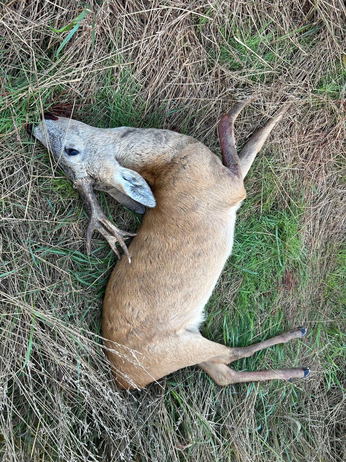 Whatsapp Image 2025 07 30 At 05.49.05