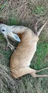 Whatsapp Image 2025 07 30 At 05.49.05