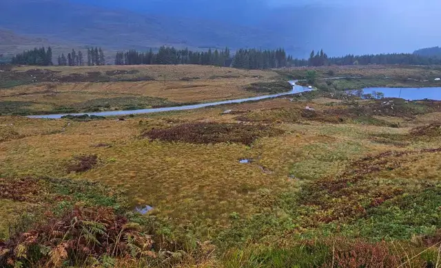 Whatsapp Image 2024 10 07 At 15.31.17