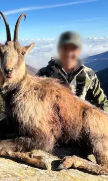 Skærmbillede 2025 01 06 105842