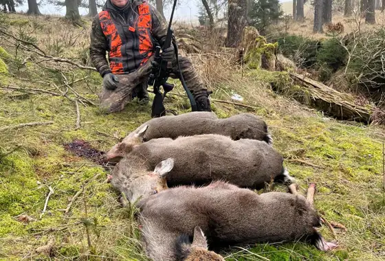 Whatsapp Image 2025 06 10 At 08.46.35 (3)