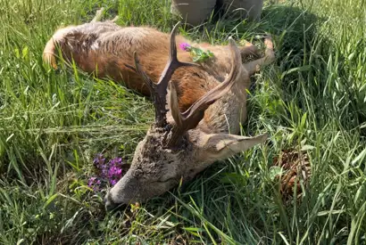 C31ABBD3 0870 4567 8039 6A0C8E1DF383