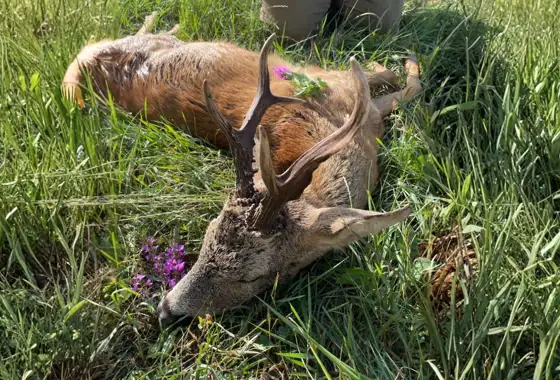 C31ABBD3 0870 4567 8039 6A0C8E1DF383