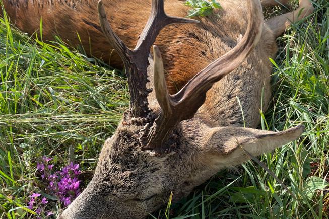 C31ABBD3 0870 4567 8039 6A0C8E1DF383