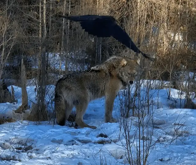 Skærmbillede 2025 11 20 150214 Min