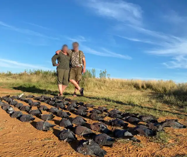 Skærmbillede 2025 04 02 110749