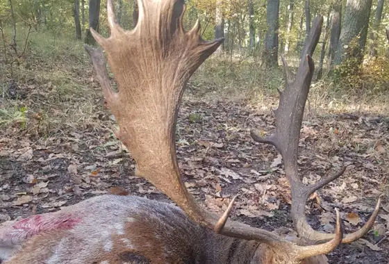 6Ec6c66d Eb95 408B A5da Fd3d60e8437c