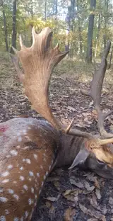 6Ec6c66d Eb95 408B A5da Fd3d60e8437c