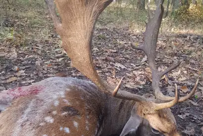 6Ec6c66d Eb95 408B A5da Fd3d60e8437c