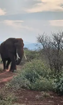 Hjemmeside Og PDF Format 169 (6) Min