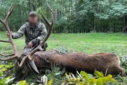 Skærmbillede 2023 12 04 154504