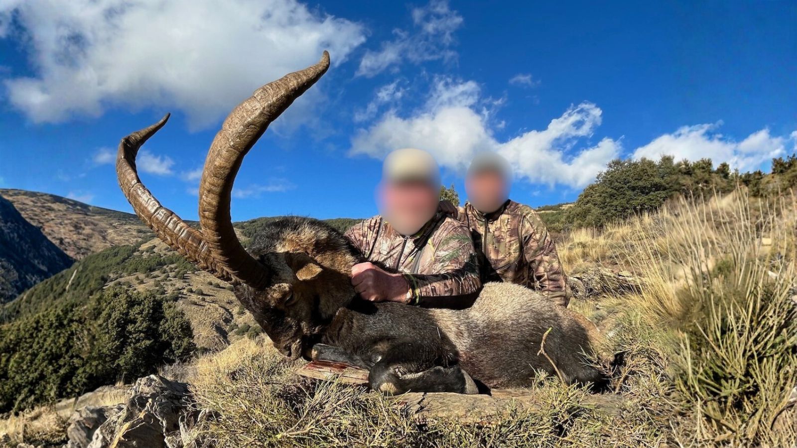 Kopi Af Hjemmeside Og PDF Format 169 2025 12 12T094446.323