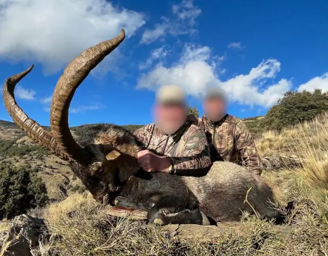 Kopi Af Hjemmeside Og PDF Format 169 2025 12 12T094446.323