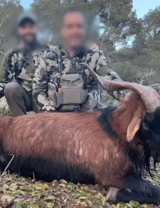 Skærmbillede 2024 12 04 125708 Min