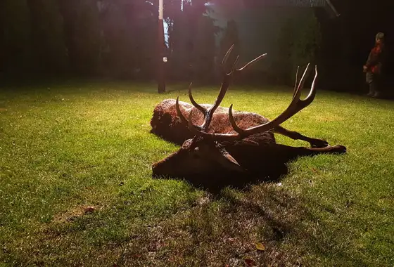 365283184 1042972137002271 1864182227006605944 N