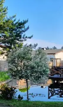 Skærmbillede 2025 06 04 155742