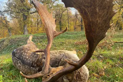 PHOTO 2023 06 27 13 03 23