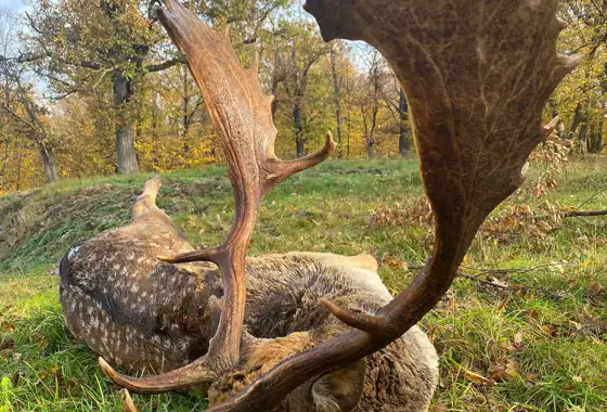 PHOTO 2023 06 27 13 03 23