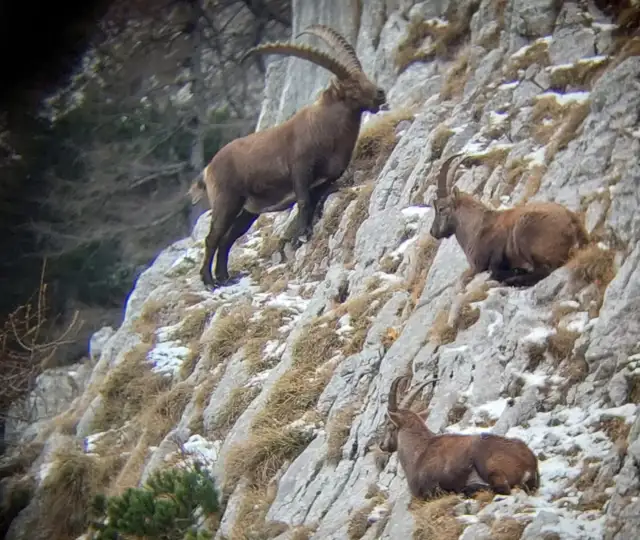 Whatsapp Image 2023 12 13 At 14.16.09