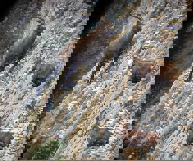 Whatsapp Image 2023 12 13 At 14.16.09