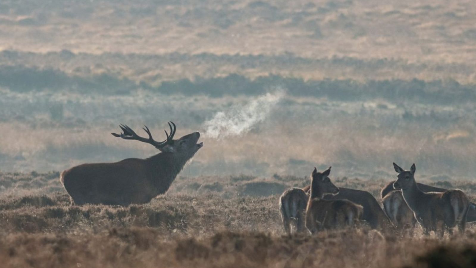 Skærmbillede 2022 07 19 Kl. 08.46.39