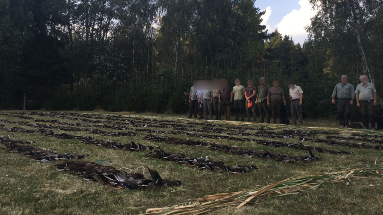 Skærmbillede 2025 02 28 132425