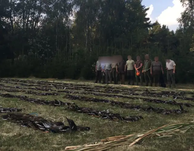 Skærmbillede 2025 02 28 132425