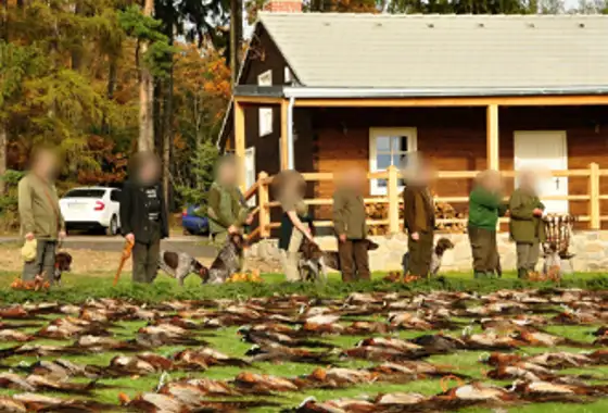 Skærmbillede 2023 12 01 085152 (1)