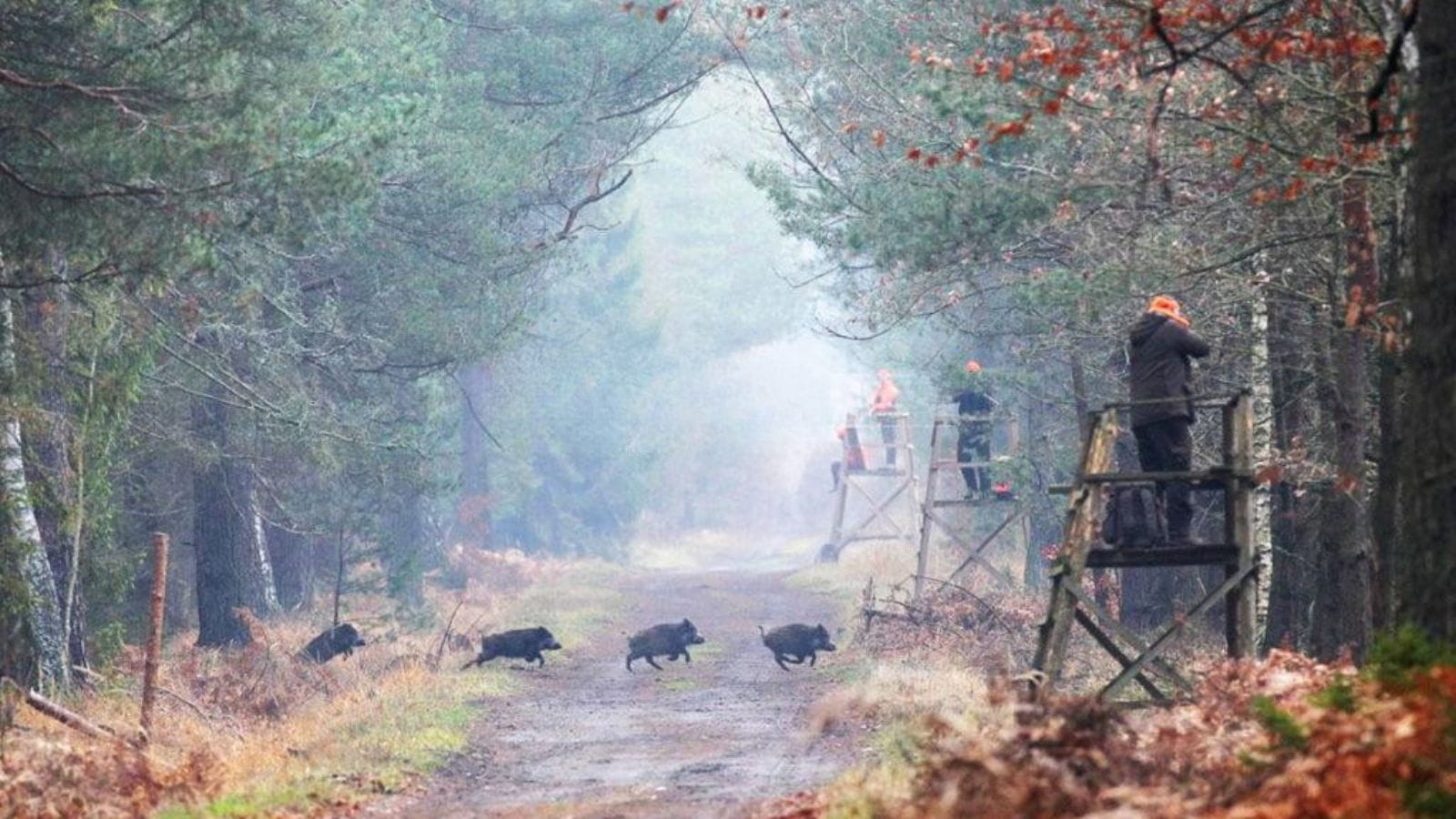 Kopi Af Hjemmeside Og PDF Format 169 (20)