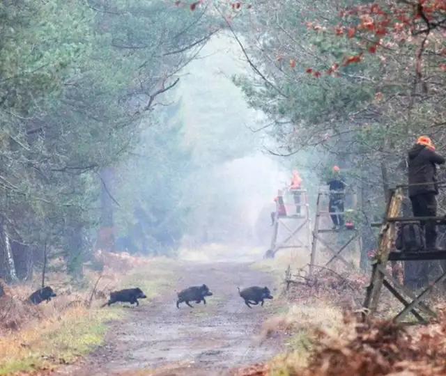 Kopi Af Hjemmeside Og PDF Format 169 (20)