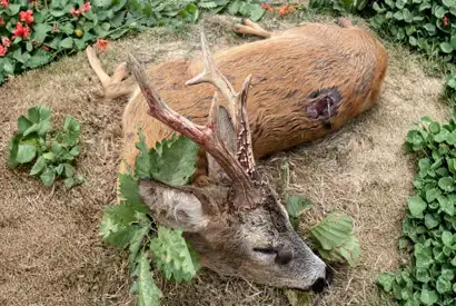 668A780B 80B1 42AF B5A9 FAF2E16A695A