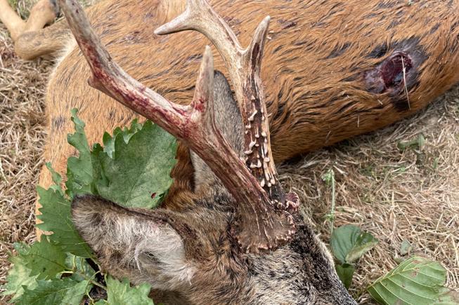 668A780B 80B1 42AF B5A9 FAF2E16A695A