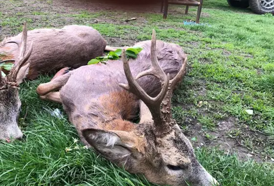 200499496 1468761066812563 1578164739271911510 N