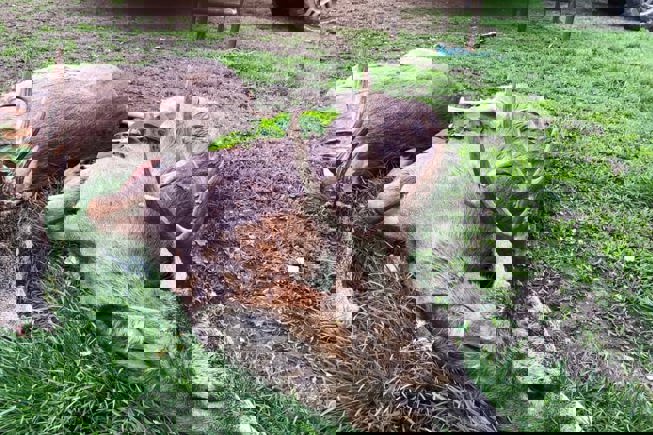 200499496 1468761066812563 1578164739271911510 N