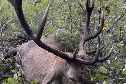 375588781 1059834095316075 7027508404418736991 N