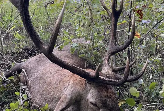 375588781 1059834095316075 7027508404418736991 N