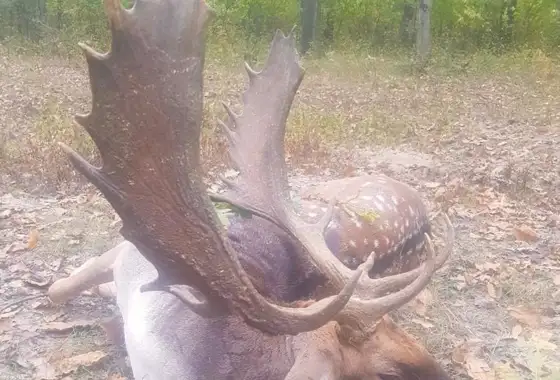 630A8e0b 6741 438A Ab9b 1417B3bb2391l