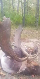 630A8e0b 6741 438A Ab9b 1417B3bb2391l