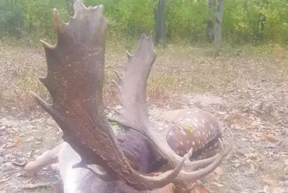 630A8e0b 6741 438A Ab9b 1417B3bb2391l