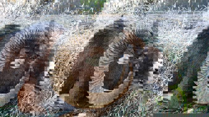 5Fd76fe9 E959 4E3d A589 C8b359c4132d