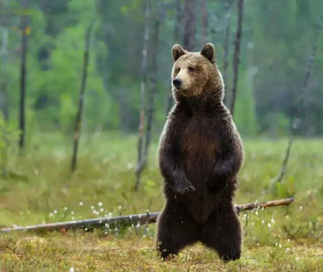 Kopi Af Hjemmeside Og PDF Format 169 (5) (1)