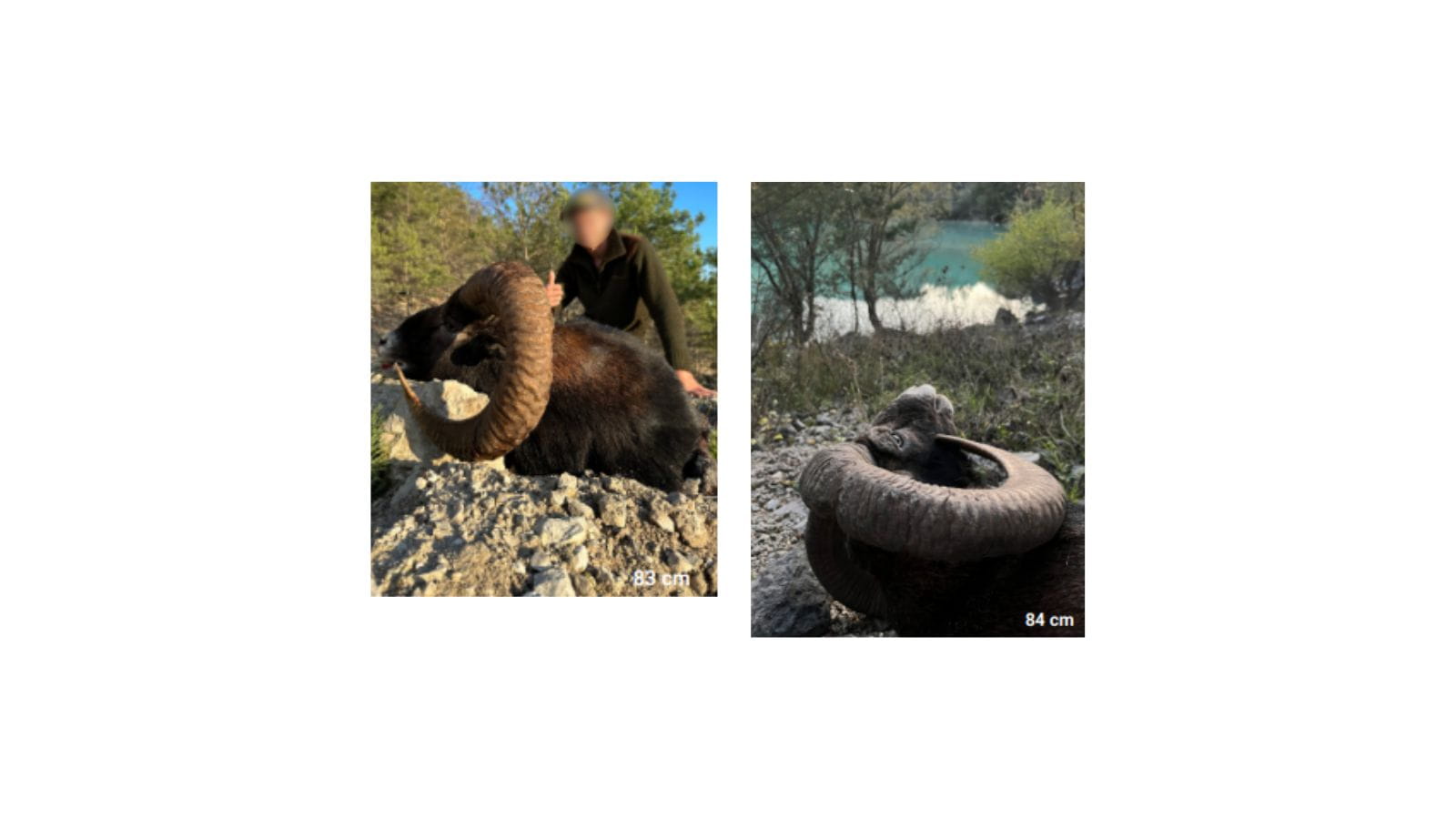 Kopi Af Hjemmeside Og PDF Format 169 (25)